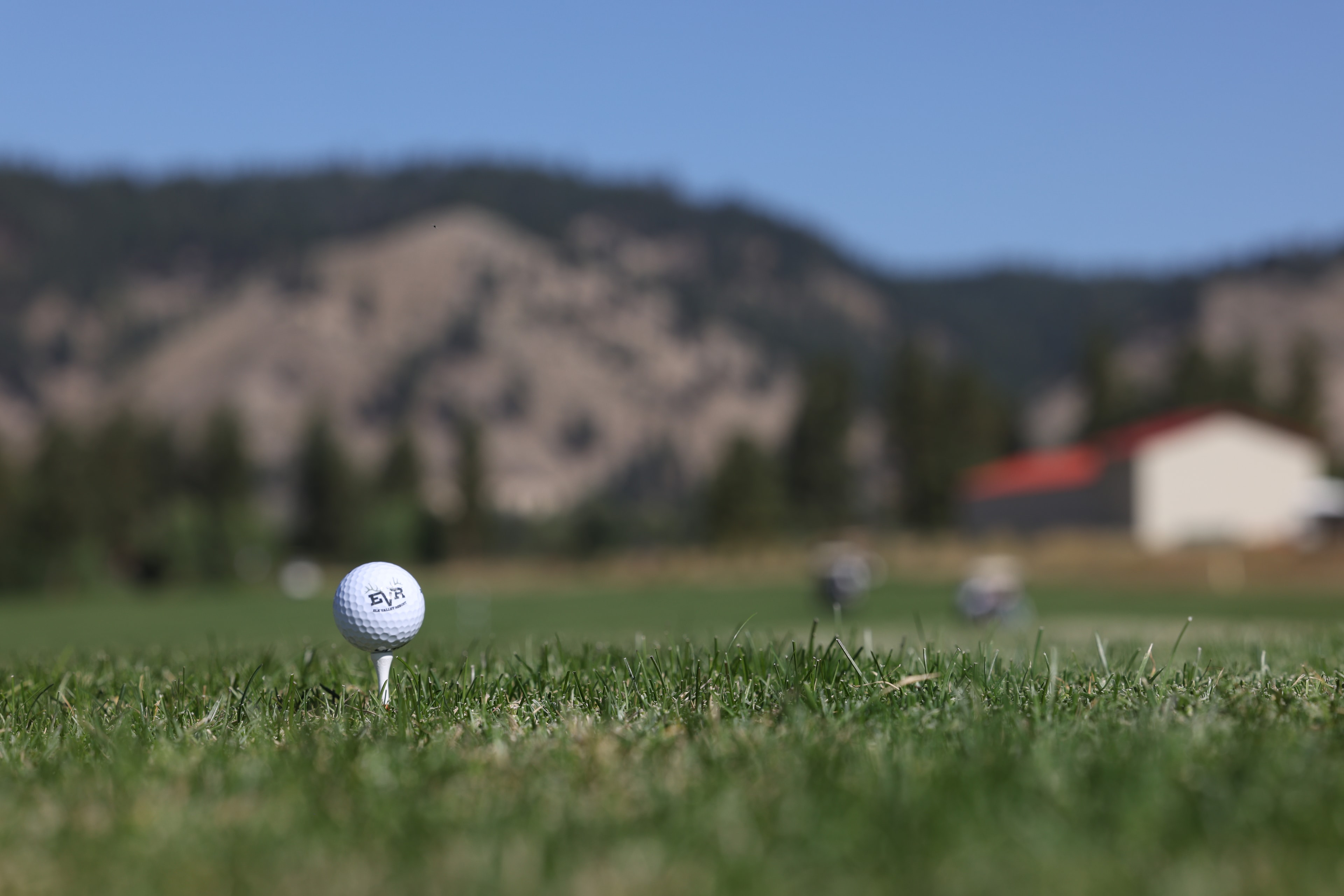 Golf course photo