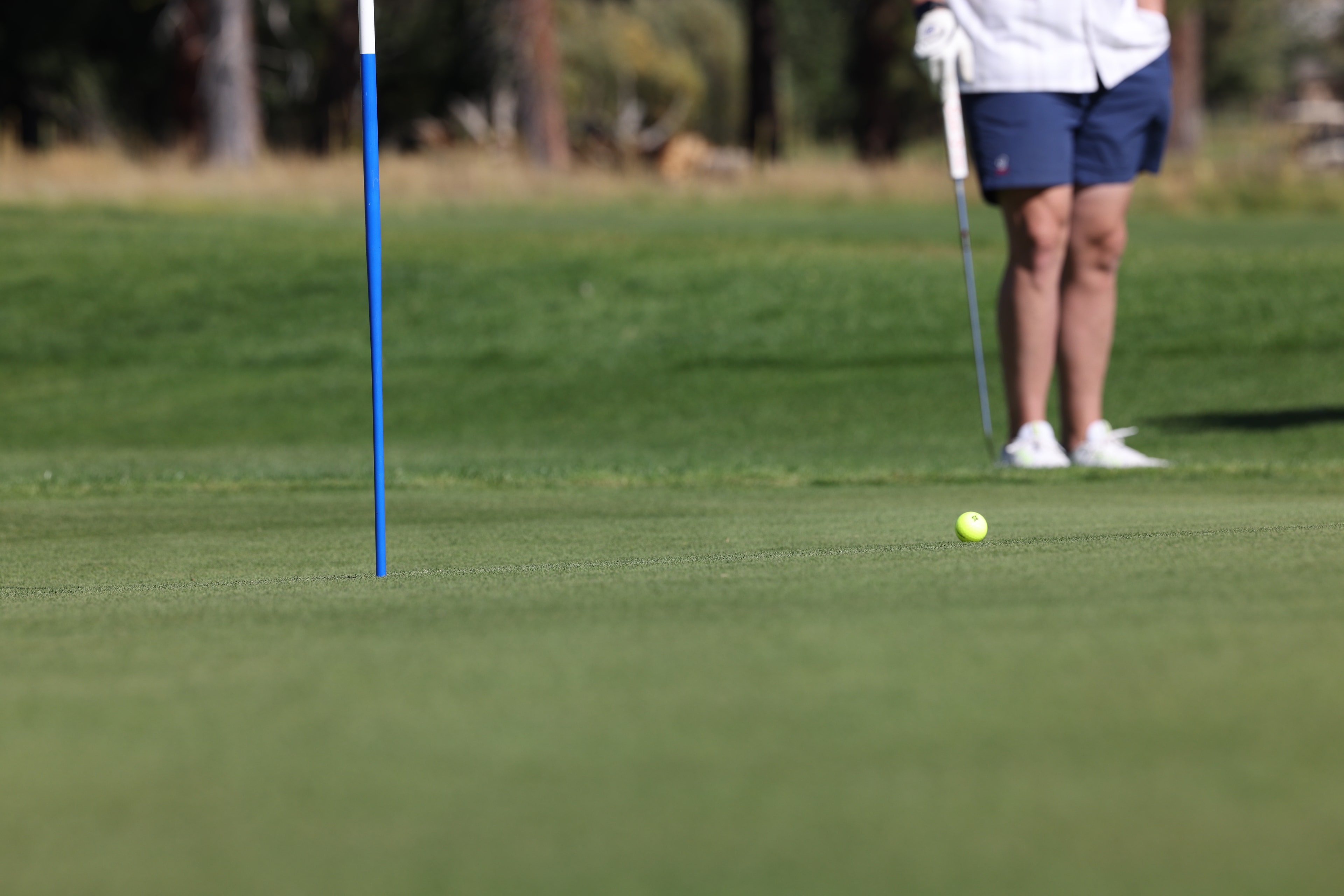 Golf course photo