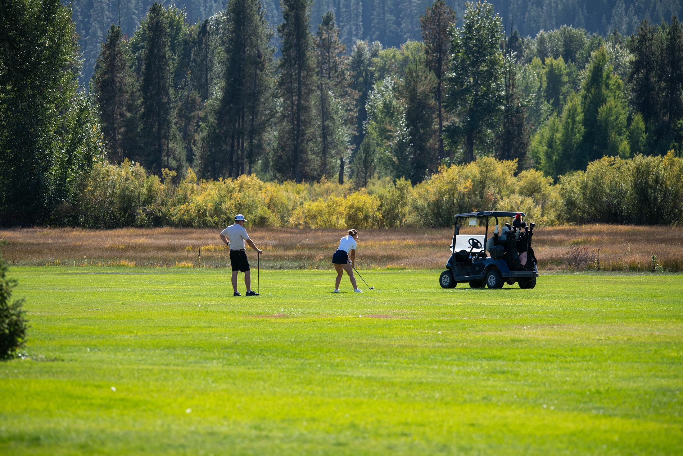 Golf course view near the greens