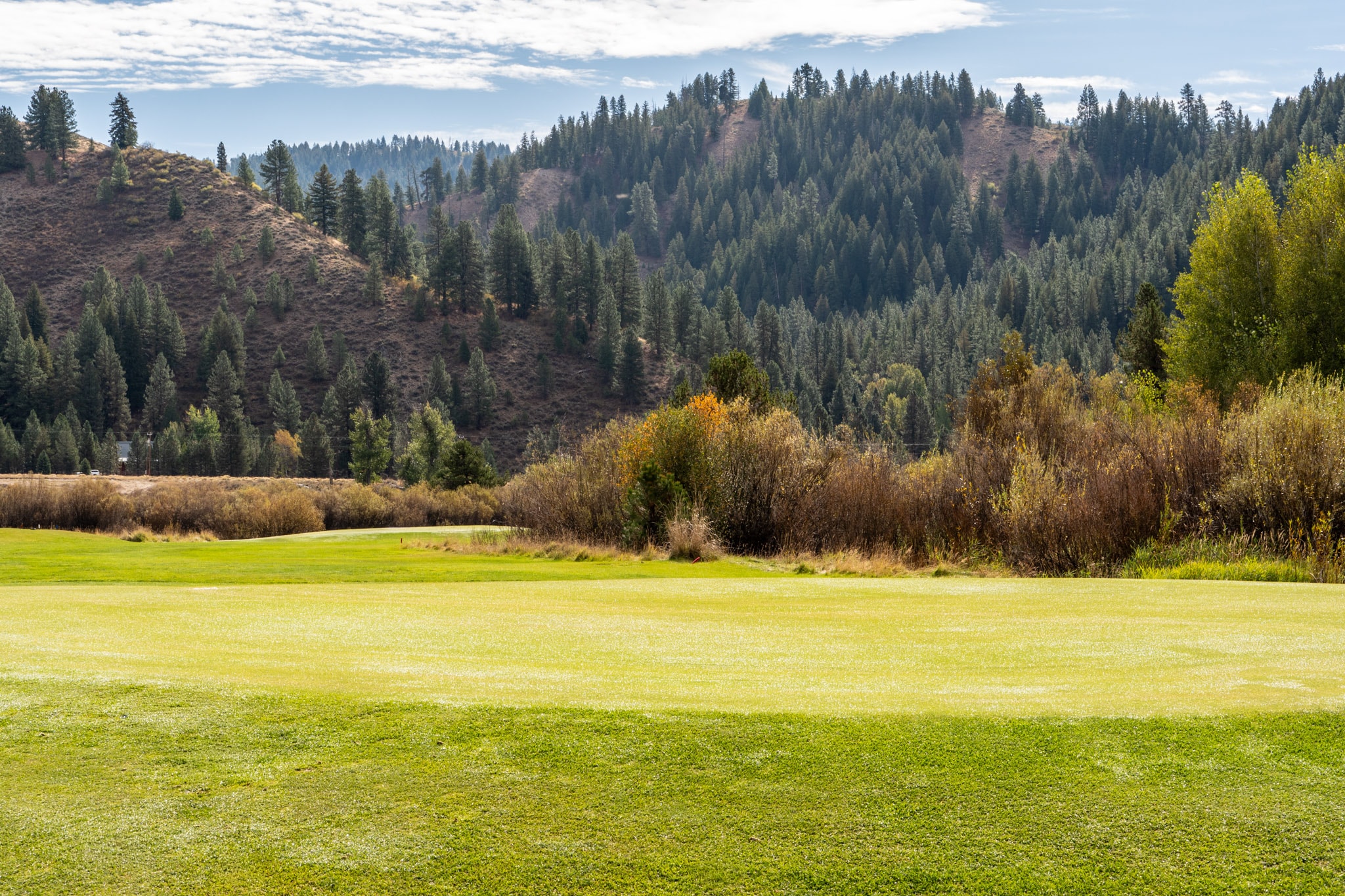 Green bordered by trees and mountain slopes