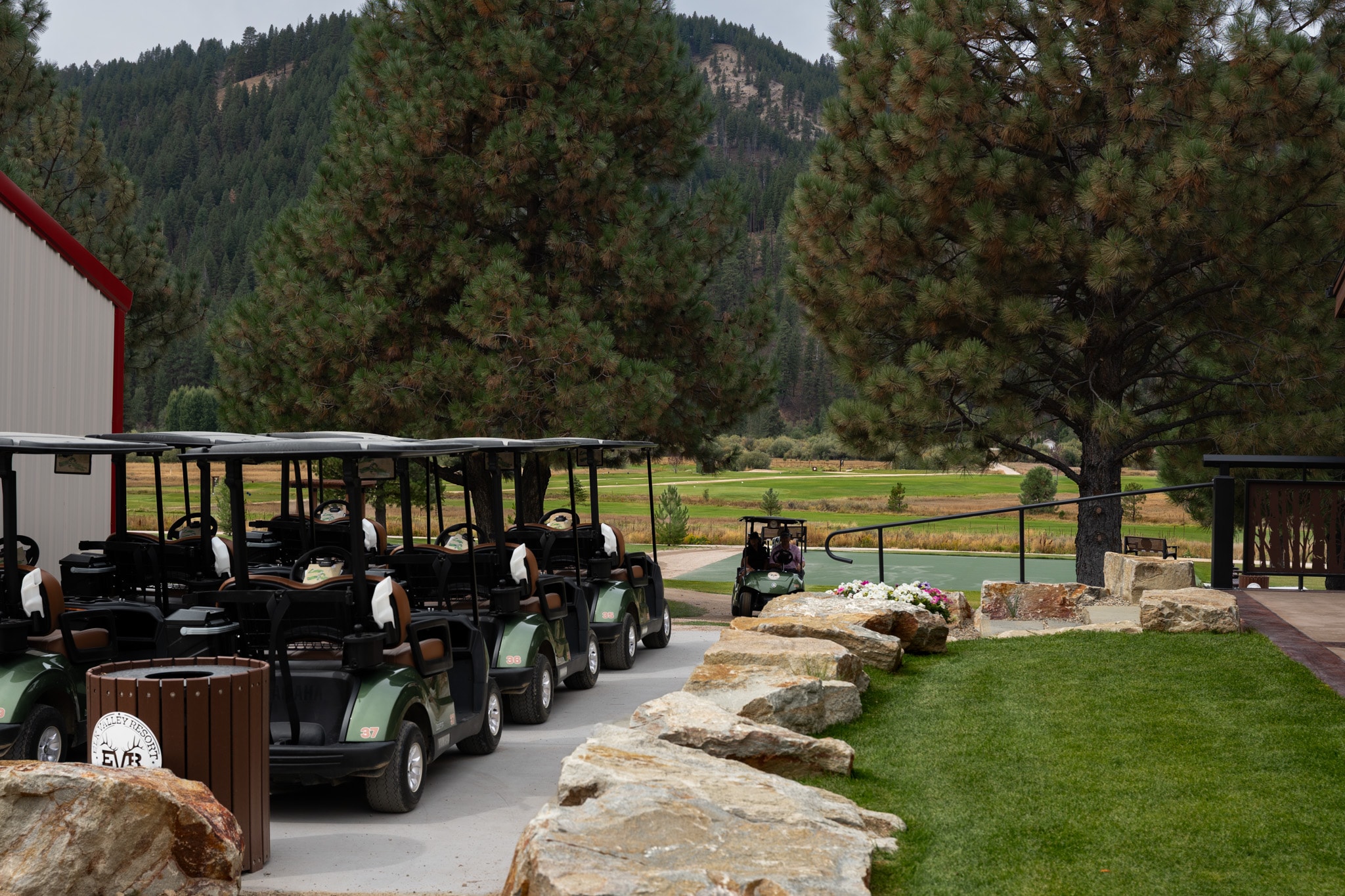Golf carts lined up beside the lodge