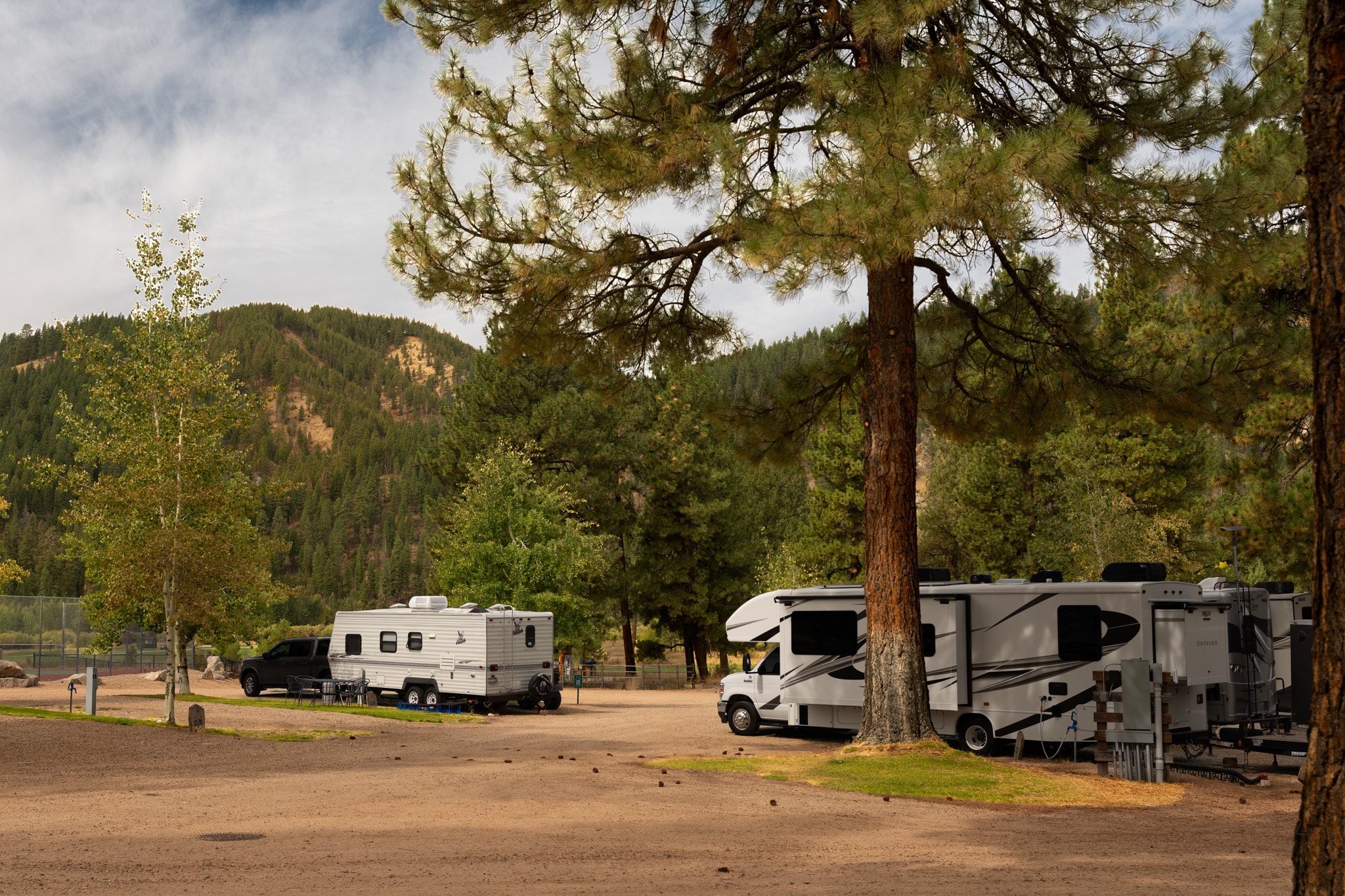 RVs parked beneath trees at the resort