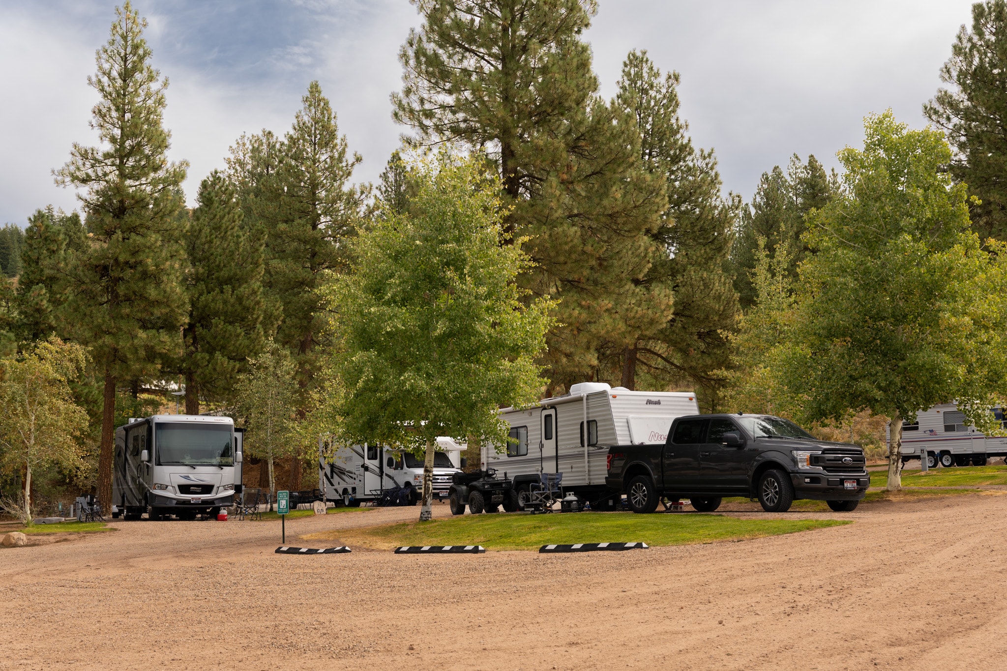 RV sites shaded by tall trees