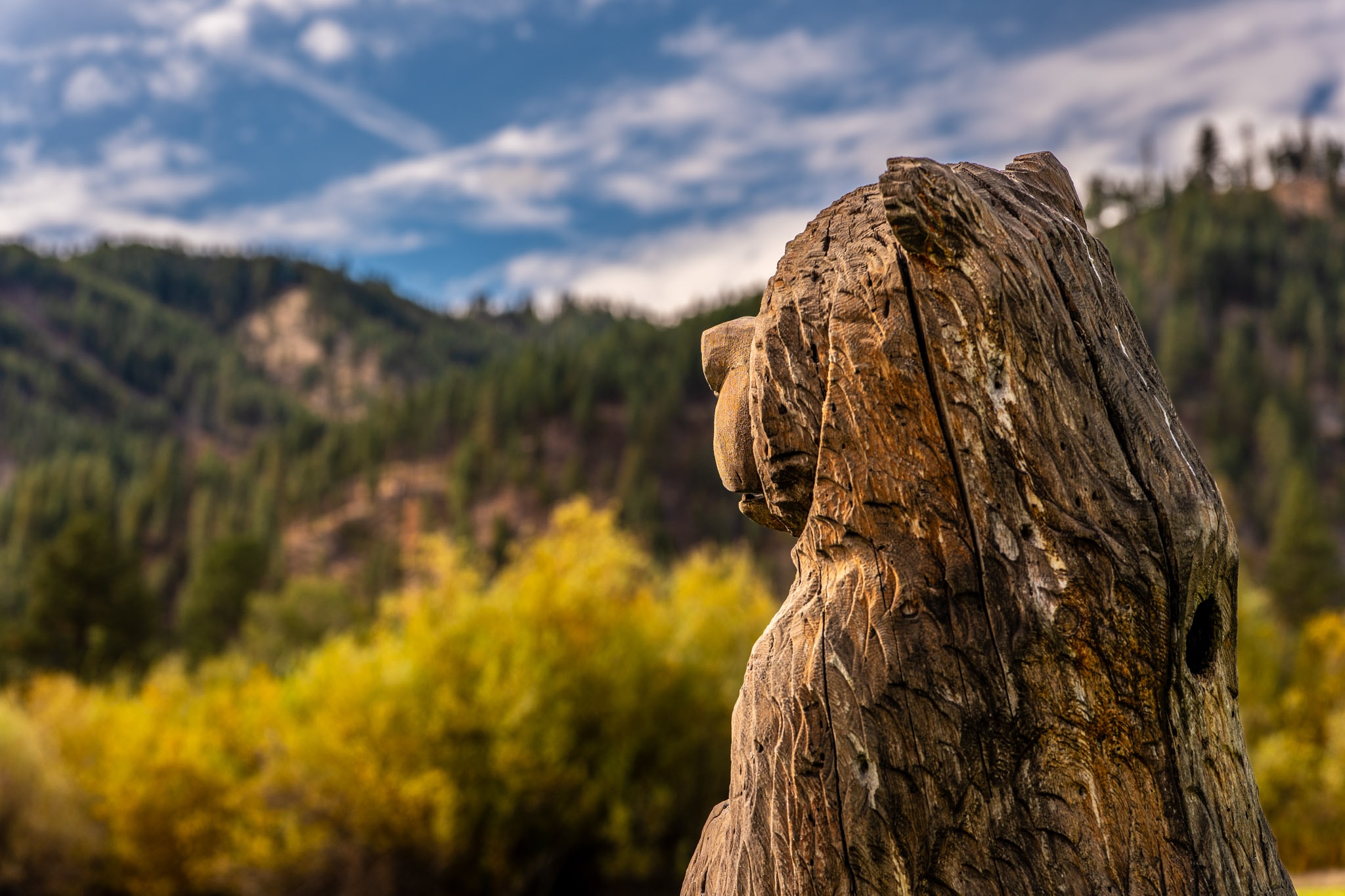 Sasquatch carving with mountains beyond