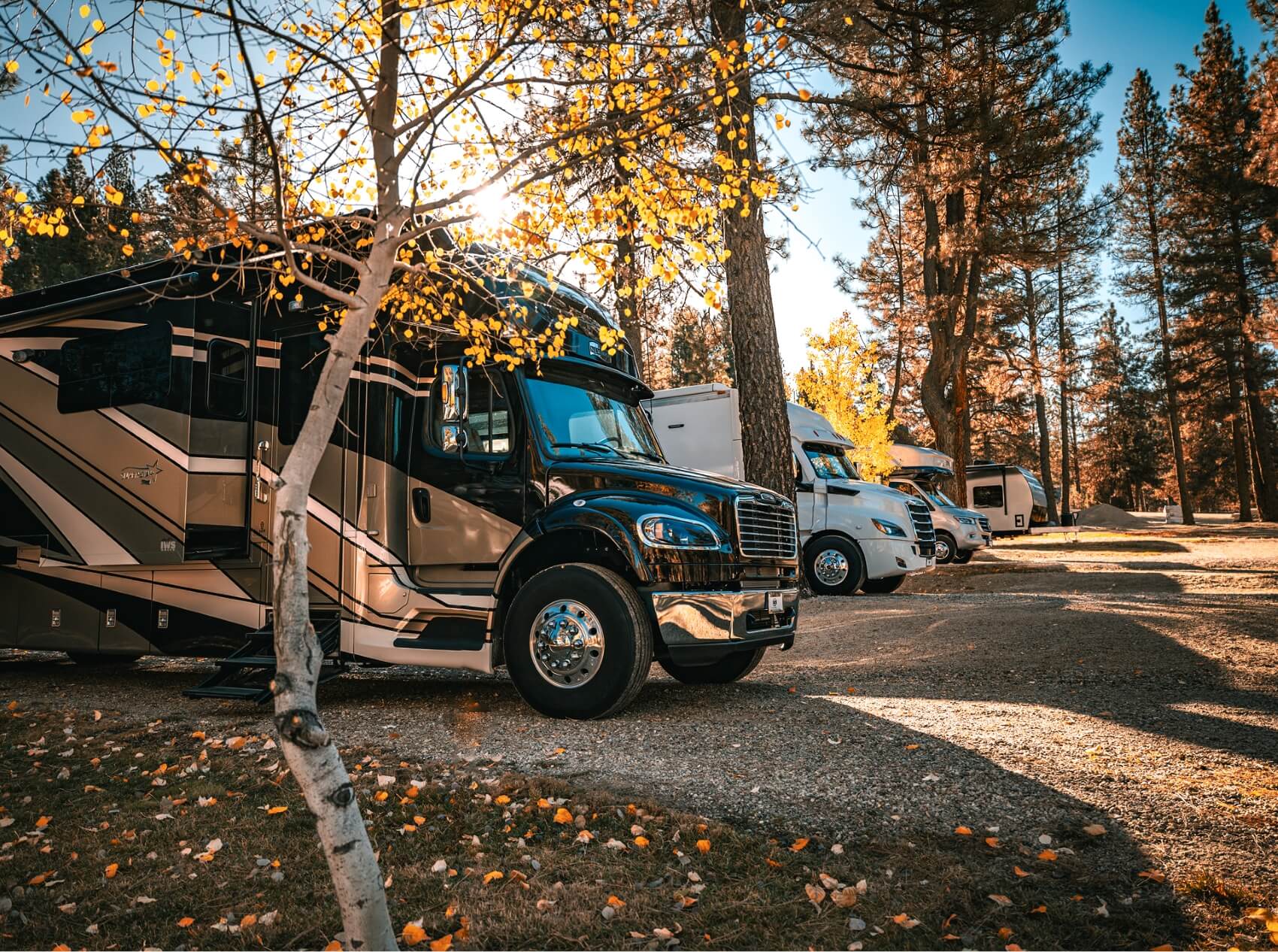 Elk Ridge Rv Park RV Park • Elk Valley Resort